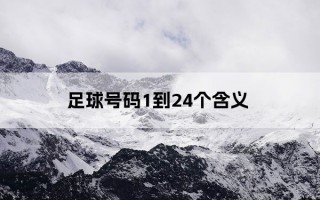 足球号码可以超过100吗，足球号码可以超过100吗